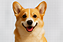 Background Remover