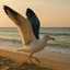 Image Expander