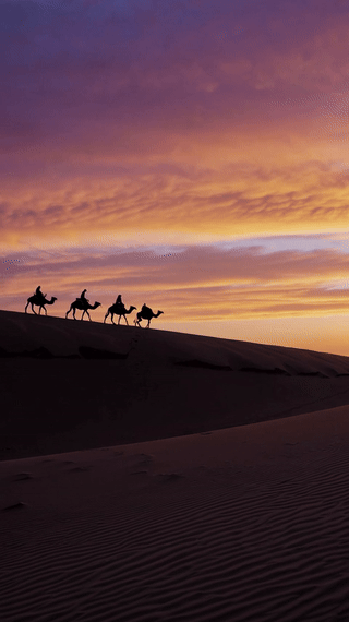 A desert caravan moves through sand dunes at sunset. With warm natural light with a slow panning shot.